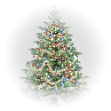 Christmas tree as a symbol of eternal life and survival. 
To see the full size click the image.
The image will appear in the new window.